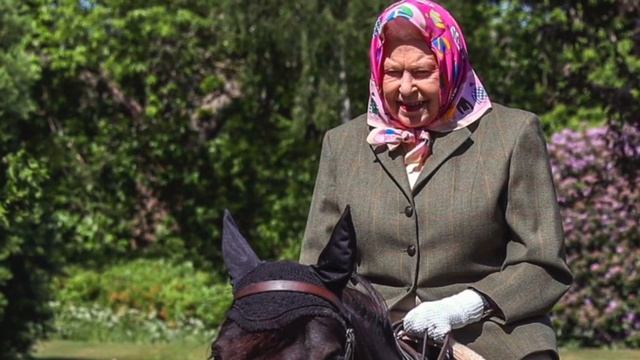 Back In The Saddle! Queen Elizabeth (94) Rides Fell Pony 'Fern!' Palace Share Photo! смотреть онлайн