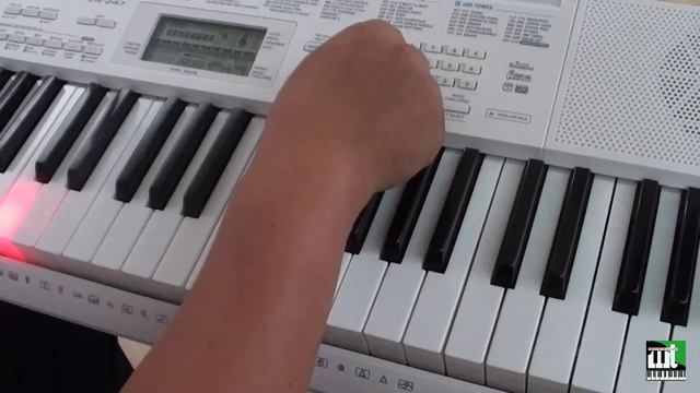 Hướng dẫn 3 bước học đàn với phím sáng trên organ Casio LK-247 смотреть онлайн