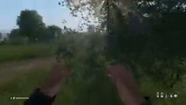 Могу дышать, но жить уж не могу - DayZ Livonia смотреть онлайн