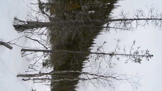 Кольский полуостров. Около Кандалакши. смотреть онлайн