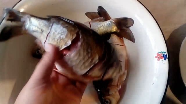 Готовимся к пикировке томатов Жарим рыбу Печем пиццу . смотреть онлайн