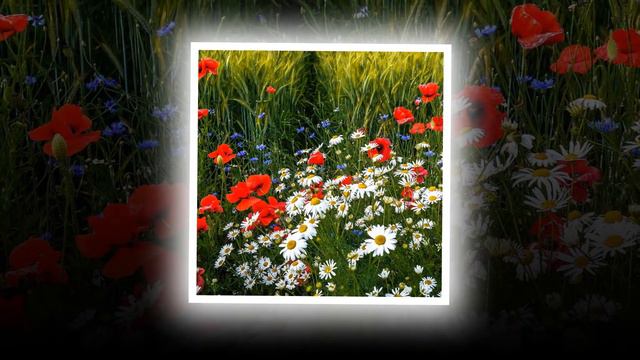 Медитативная музыка для души АРОМАТЫ ЛЕТА играет HAUSER смотреть онлайн