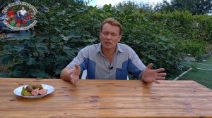 5 секретов выращивания инжира в черноземье #ТриЭкоСад