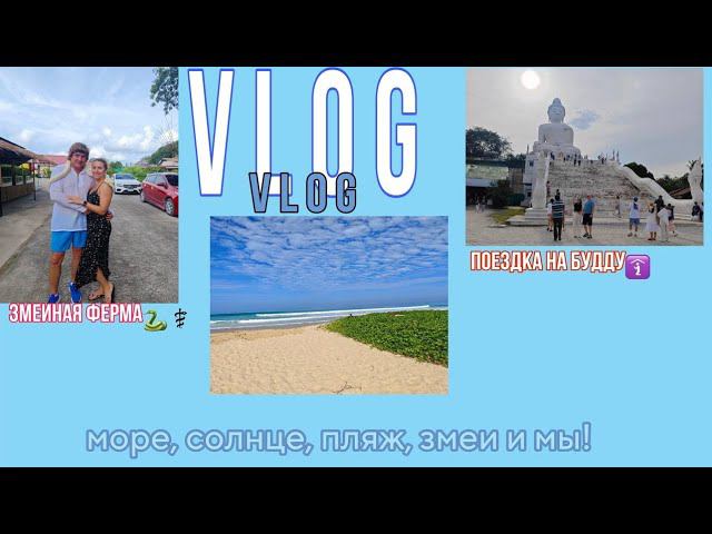 VLOG из ТАЙЛАНДА//поездка на змеиную ферму и на Будду смотреть онлайн