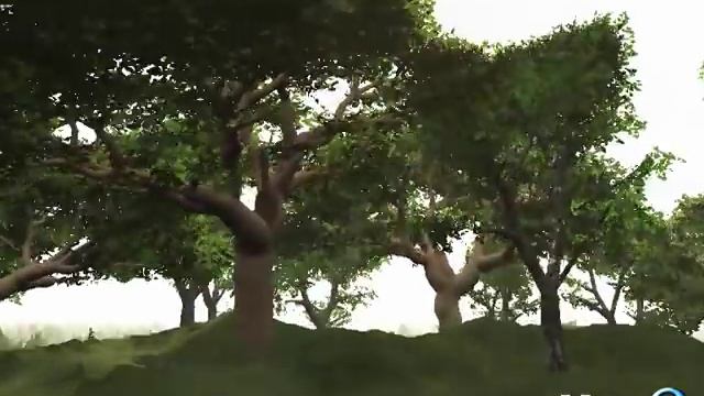 Forested Hill in Vue 8 PLE смотреть онлайн