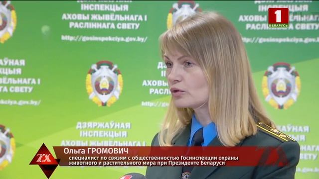 Госинспекция выступила с инициативой перенести сроки запрета на лов рыбы смотреть онлайн