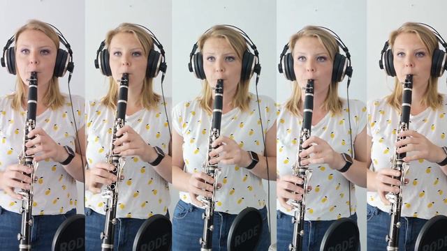 Lemon Tree - Clarinet quintet - Fool's Garden смотреть онлайн