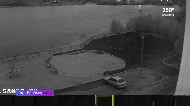 По набережной Беломорска прогулялся .. медведь смотреть онлайн