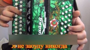 Кукушка // разбор на гармони