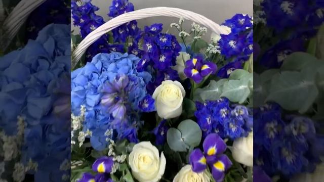 корзина синева.mov