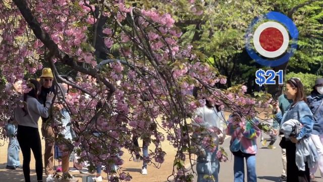 $100 Day in JAPAN ?? (2023) смотреть онлайн