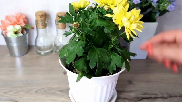 Стройка В Теме