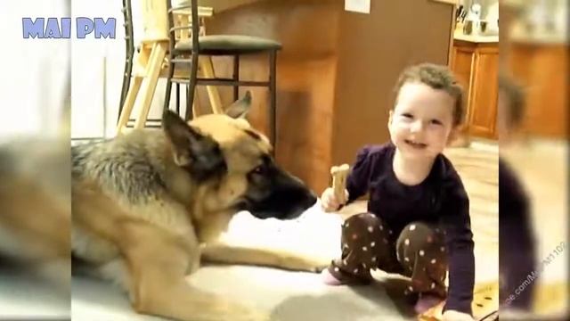 German Shepherd Dogs Playing And Protecting Babies Compilation смотреть онлайн