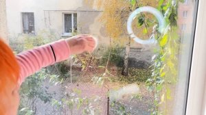 ОКНА ПЕРЕСТАНУТ ПОТЕТЬ ЕСЛИ СДЕЛАТЬ ЭТО