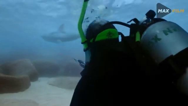 Акула Кули кино узбек тилида смотреть онлайн