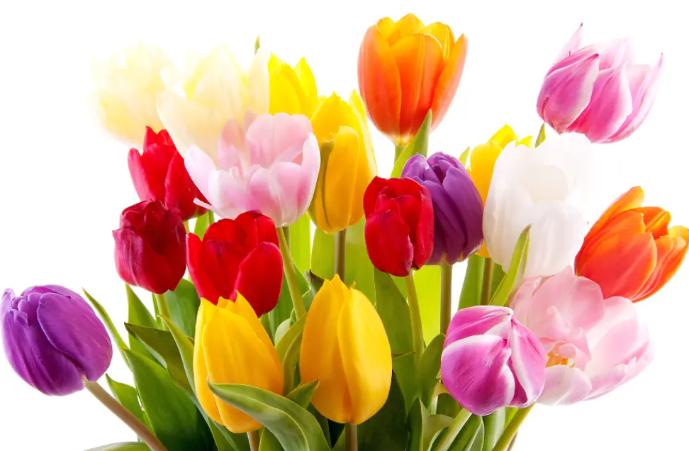 8 марта. С праздником!