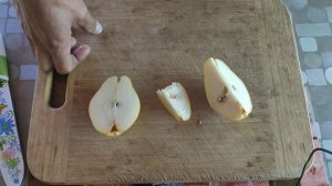 Груша которая должна быть у каждого. Сорт Вильямс летний