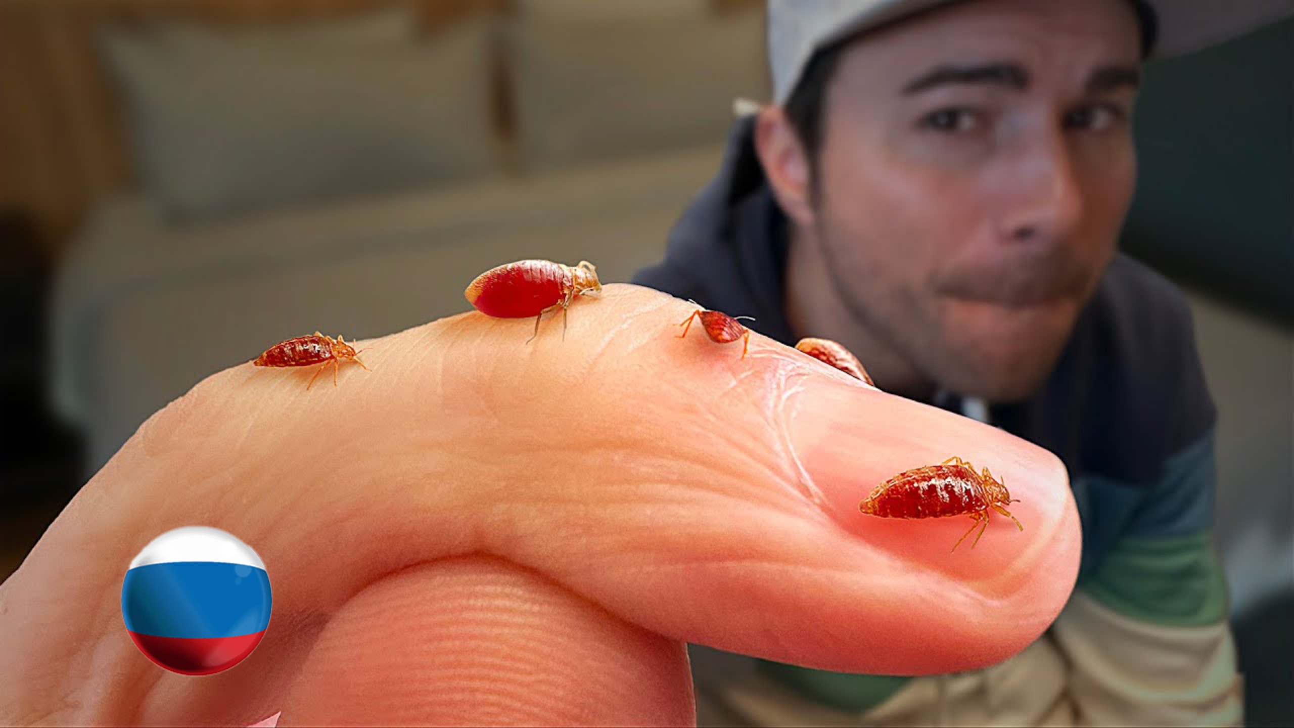 [Mark Rober] Постельные Клопы - то, что Вам Говорили, Неправда [Марк Робер]