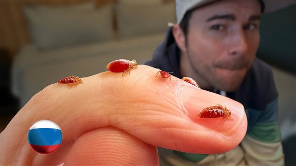 [Mark Rober] Постельные Клопы - то, что Вам Говорили, Неправда [Марк Робер]