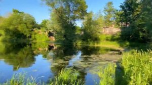 НАША ДЕРЕВЕНСКАЯ ЖИЗНЬ | ЖИВЁМ С ДЕТЬМИ В ГЛУБИНКЕ | РЫБАЛКА | ПЕРВАЯ КЛУБНИКА