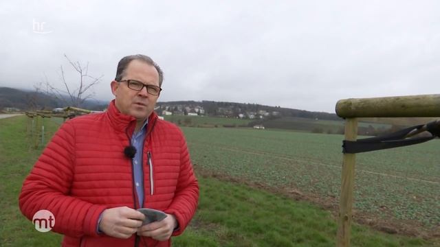 Bäume in Eltville gekillt | maintower смотреть онлайн