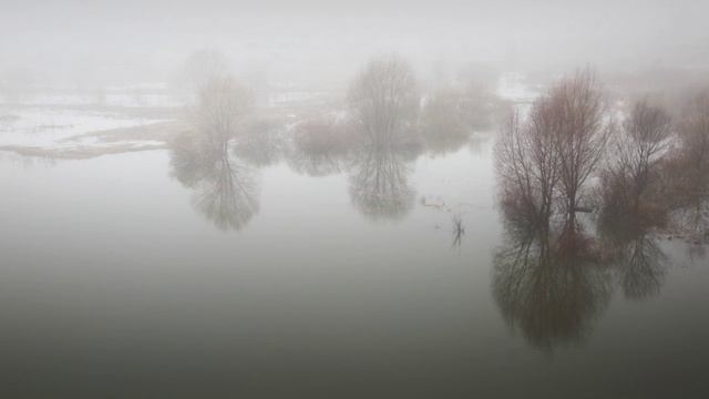 Алексей Мандельштам - Половодье (Не улетай)