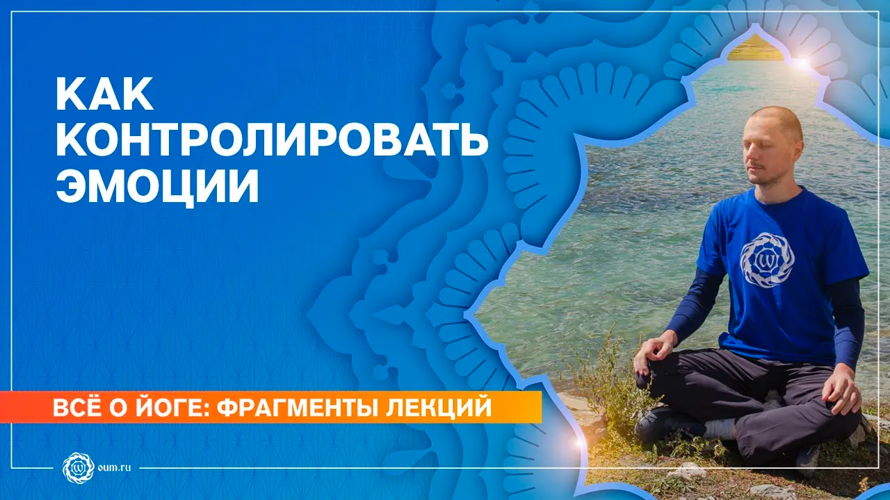 Как контролировать ЭМОЦИИ. Александр Дувалин