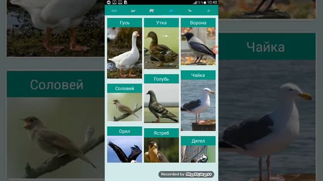 звуки животных