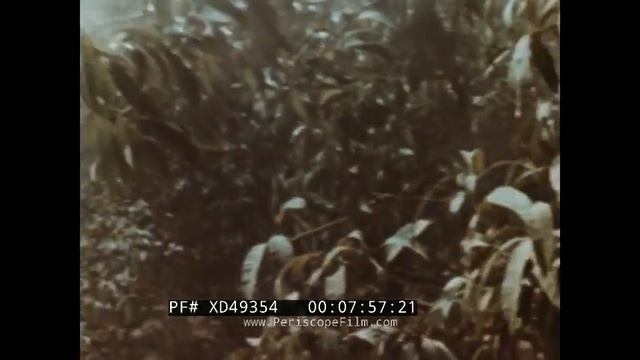 1959 UNITED ARAB REPUBLIC PROMO FILM EGYPT & SYRIA CAIRO, GIZA, DAMASCUS XD49354 смотреть онлайн