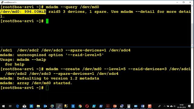RAID Management смотреть онлайн