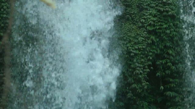 INDONESIA Gitgit waterfall, Bali (hd-video) смотреть онлайн