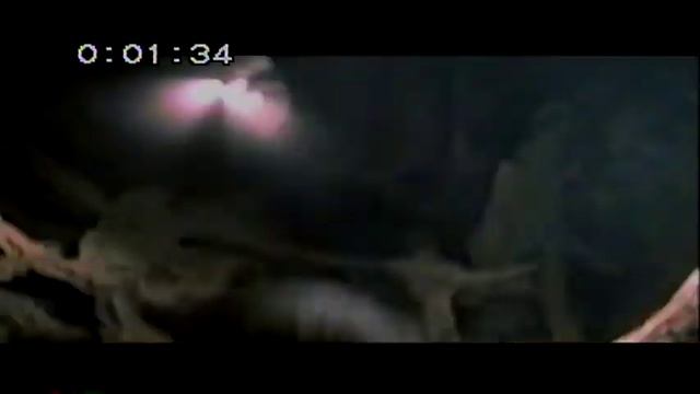 Opening to Cast Away 2001 VHS (Special Edition, Canadian Copy) смотреть онлайн