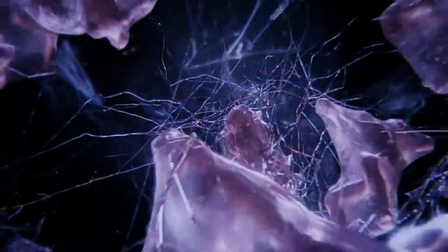 Resident evil 6 - Animated wallpaper - Dreamscene - HD + DDL▼ смотреть онлайн