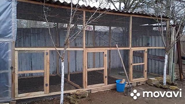 Новые вольеры для попугаев весна 2023.?? смотреть онлайн