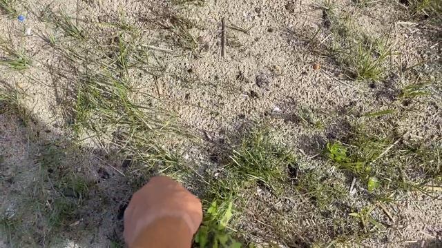 ВЛОГ ! ЛИСЕ Купили ШЛЕЙКУ ! Мне НЕ НРАВИТСЯ наш газон ! Батя Лёша смотреть онлайн