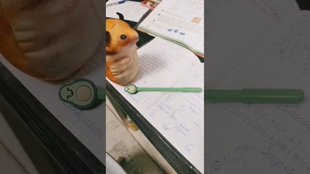 матиматик #мем смотреть онлайн