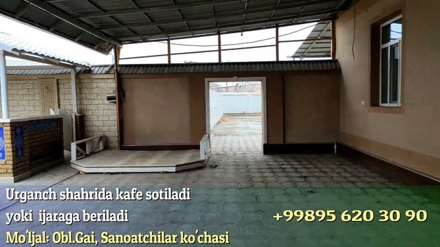 Kafe sotiladi yoki ijaraga beriladi смотреть онлайн