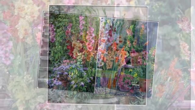 Гладиолусы смотреть онлайн