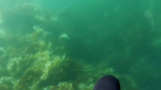 полуостров Рыбачий 2 часть / Rybachy Peninsula part 2 смотреть онлайн