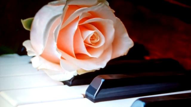 Как мозг, ум, разум и Душа могут быть в гармонии? Часть 4. смотреть онлайн