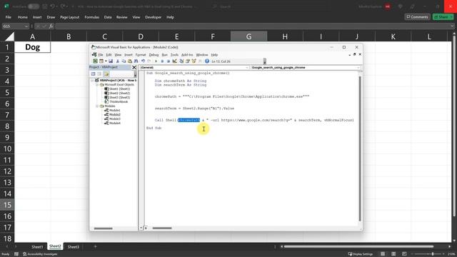 #26 How to Automate Google Searches with VBA in Excel Using IE and Chrome смотреть онлайн