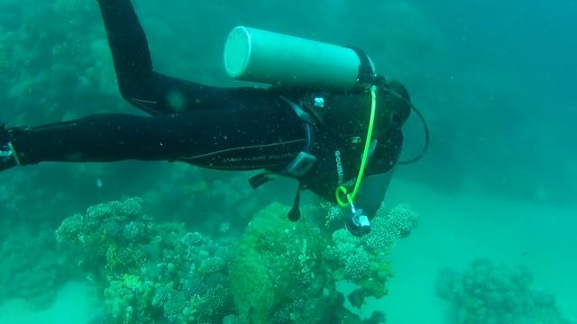 Egypt - Marsa Alam - Underwater with GoPro Hero 2 смотреть онлайн