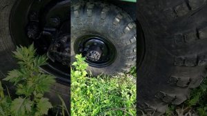 Резина БТР на Газ 66