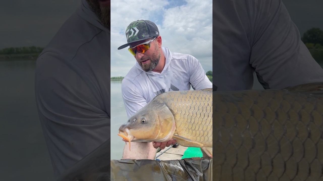 Ловим карпа! Кубок России! 2е сутки! смотреть онлайн