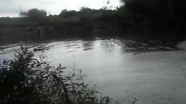 Думиничи рыбалка Брынь смотреть онлайн
