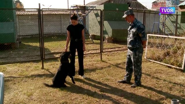 Соревнования кинологов тюменского УФСИН.mp4 смотреть онлайн