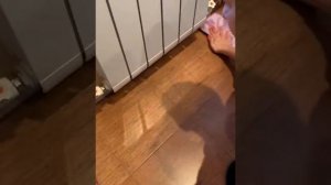 Как почистить батарею/ как почистить батареи отопления внутри