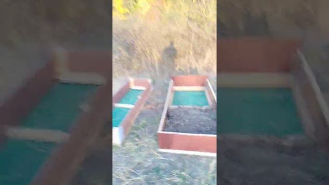 Сделал грядки под клубнику! Наполняю органикой! Клубничка будет просто высший сорт. смотреть онлайн