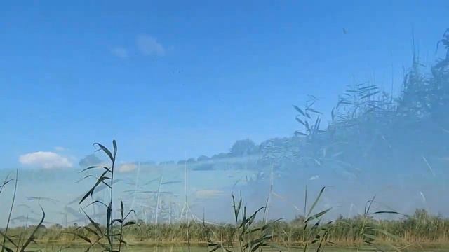 Открытие охоты на утку смотреть онлайн