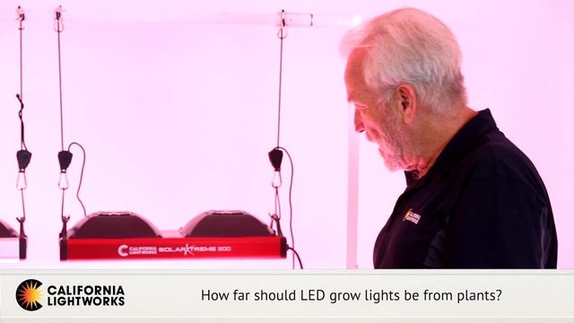 How Far Should LED Grow Lights Be From Plants? - FAQ смотреть онлайн